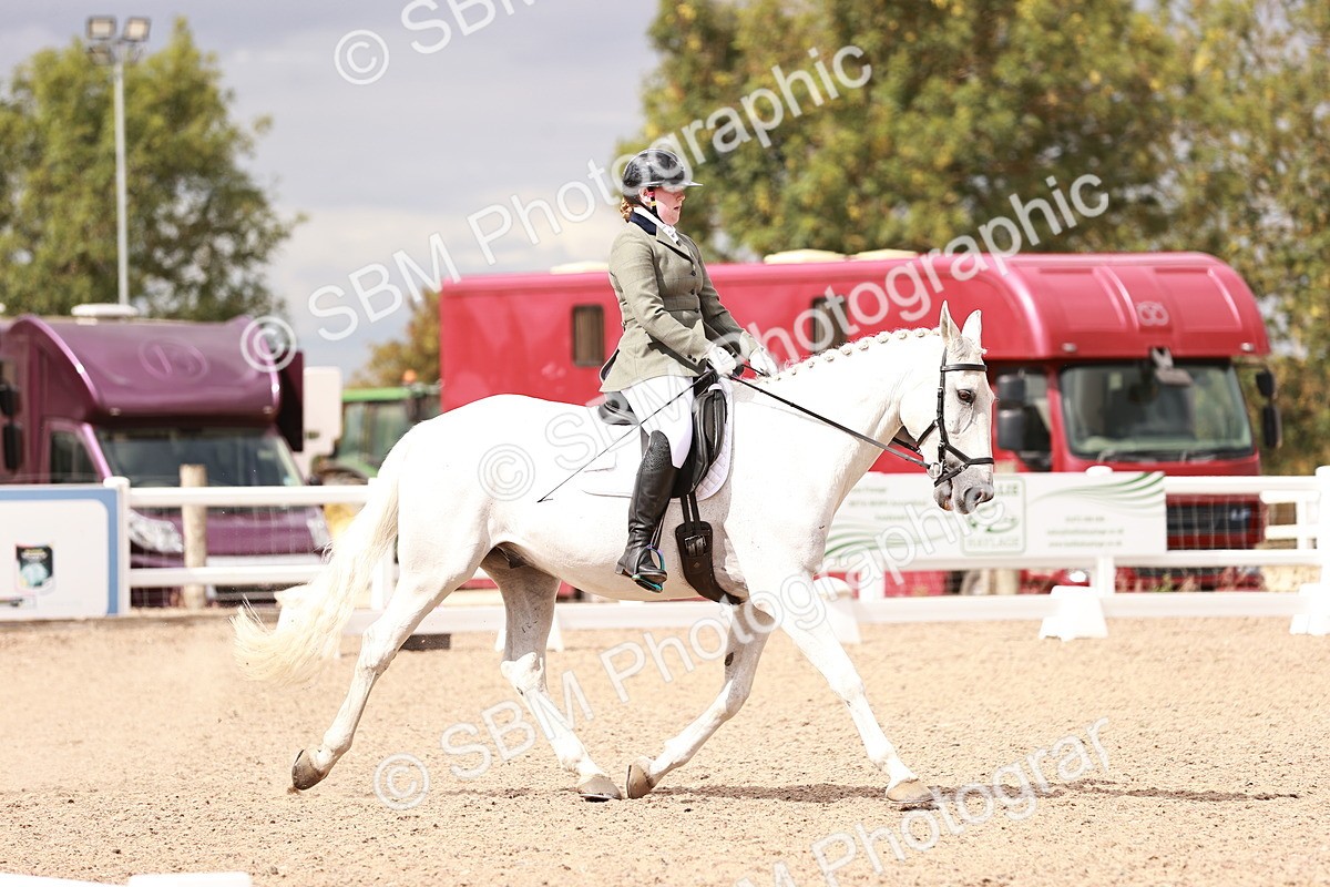 SBM_06305 - Class 37 - Novice 5