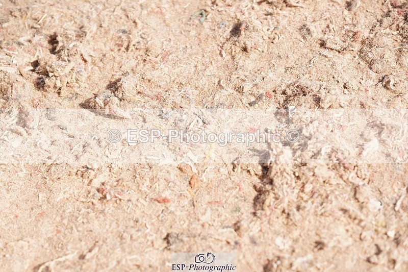 250510-095202-10153 - Cls 14 Snr 1.20m Open