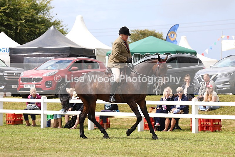 3E7A0872 - Class 8: Open Riding Horse/Hack