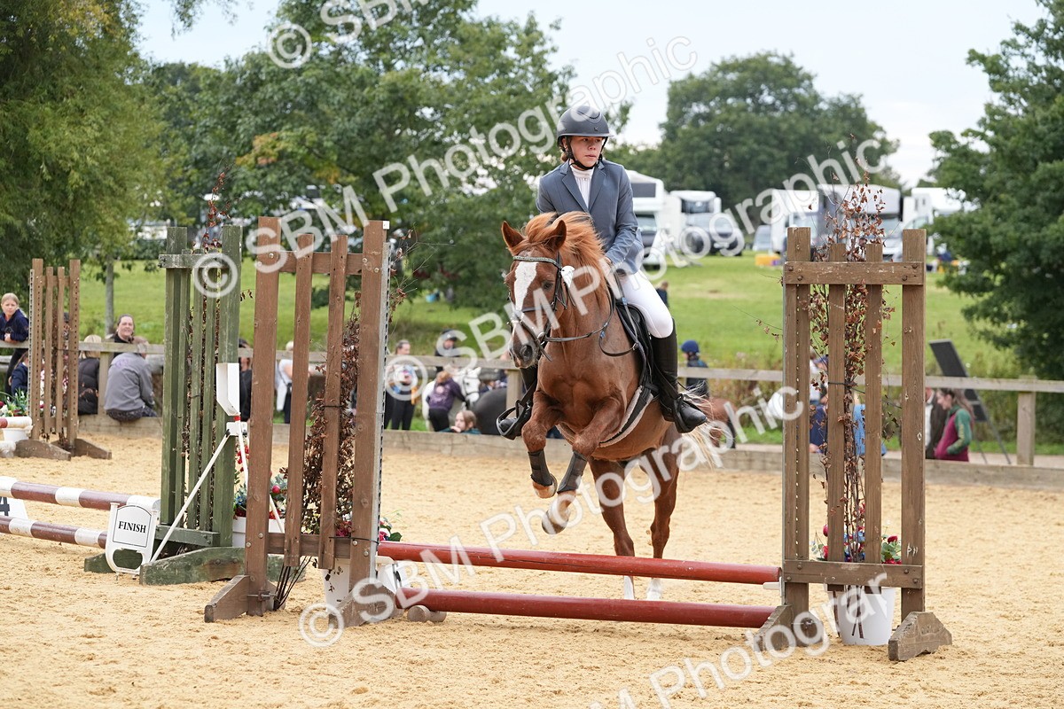 SBM_71735 - J3 - Mini Tour Junior Pony 40cm Championship
