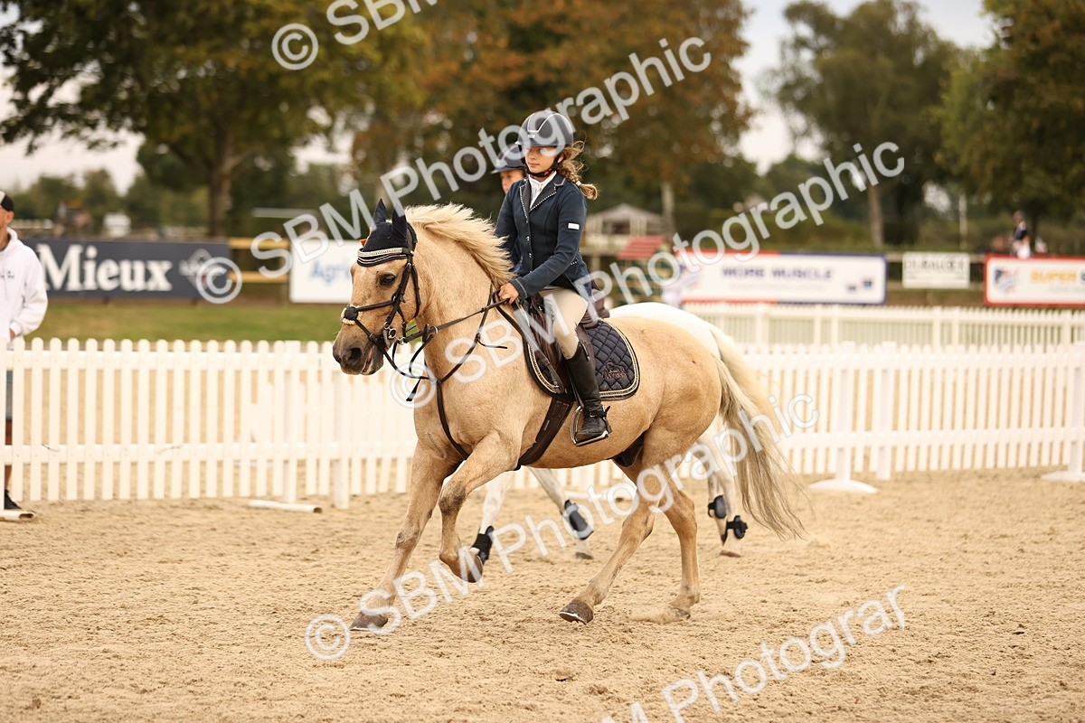 SBM_74513 - J14 - Junior Pony 65cm Championship