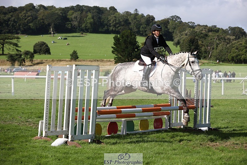 230805-165332-05577 - SJ 16.30 to End