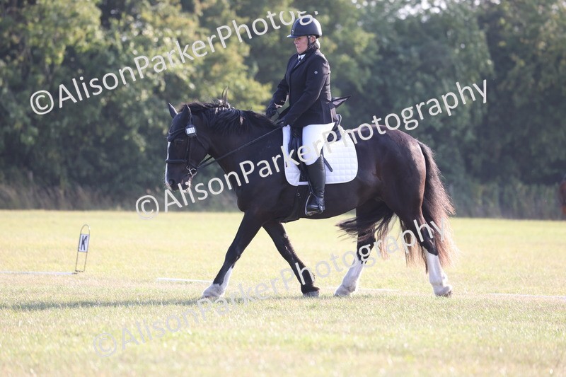 20250731-0662 - Class 1 - Intro 4