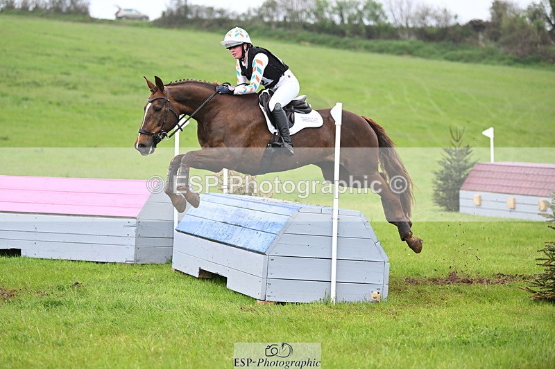 250419-113936-09277 - 512-Lamorna.May-THEODORA