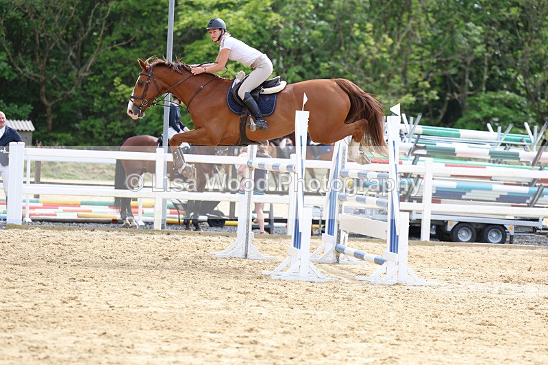 3E7A7763 - Class 8: Senior Foxhunter/1.20 open