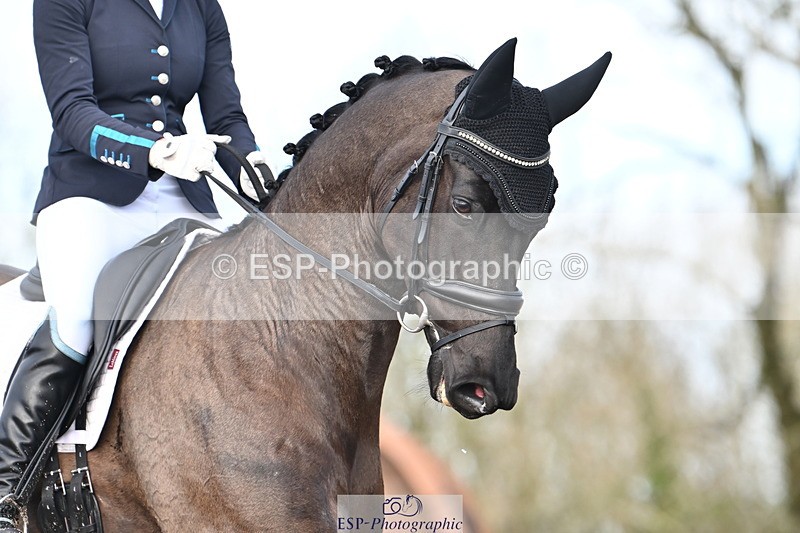 240218A-113437-06738 - 218-Jessica.Davies-Nemo.II