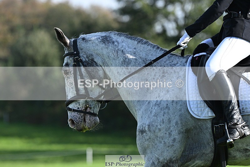 231020-105805-07479 - 474-MENELAUS-Elise.Washer-DR