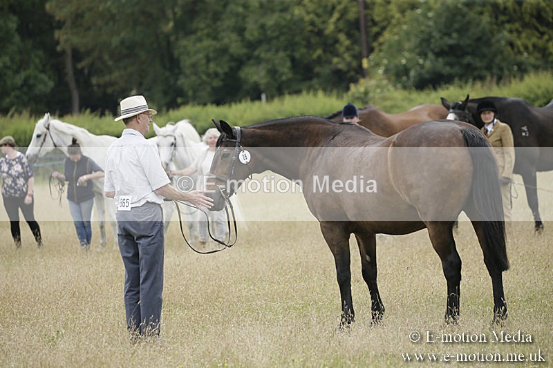 B230619-0529 - Bourne Valley Riding Club Summer Show 23/06/19