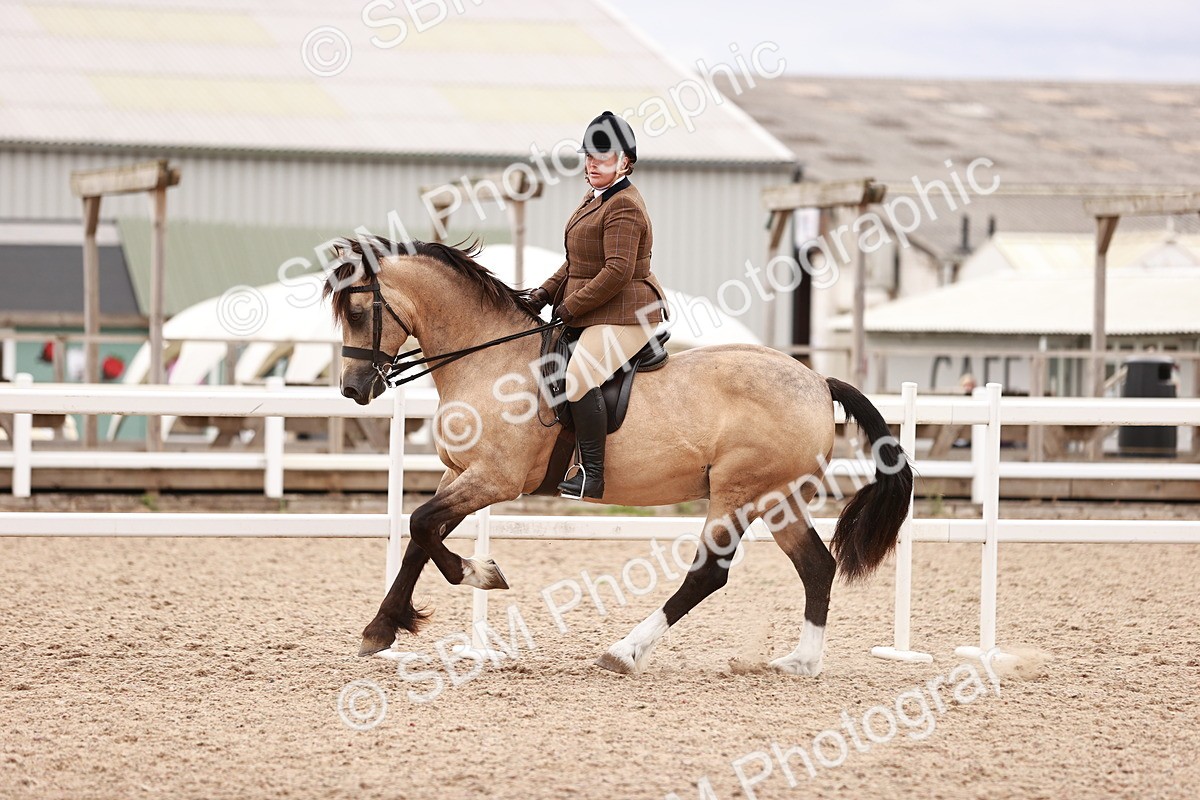 SBM_18995 - Class 422 - Ridden M&M