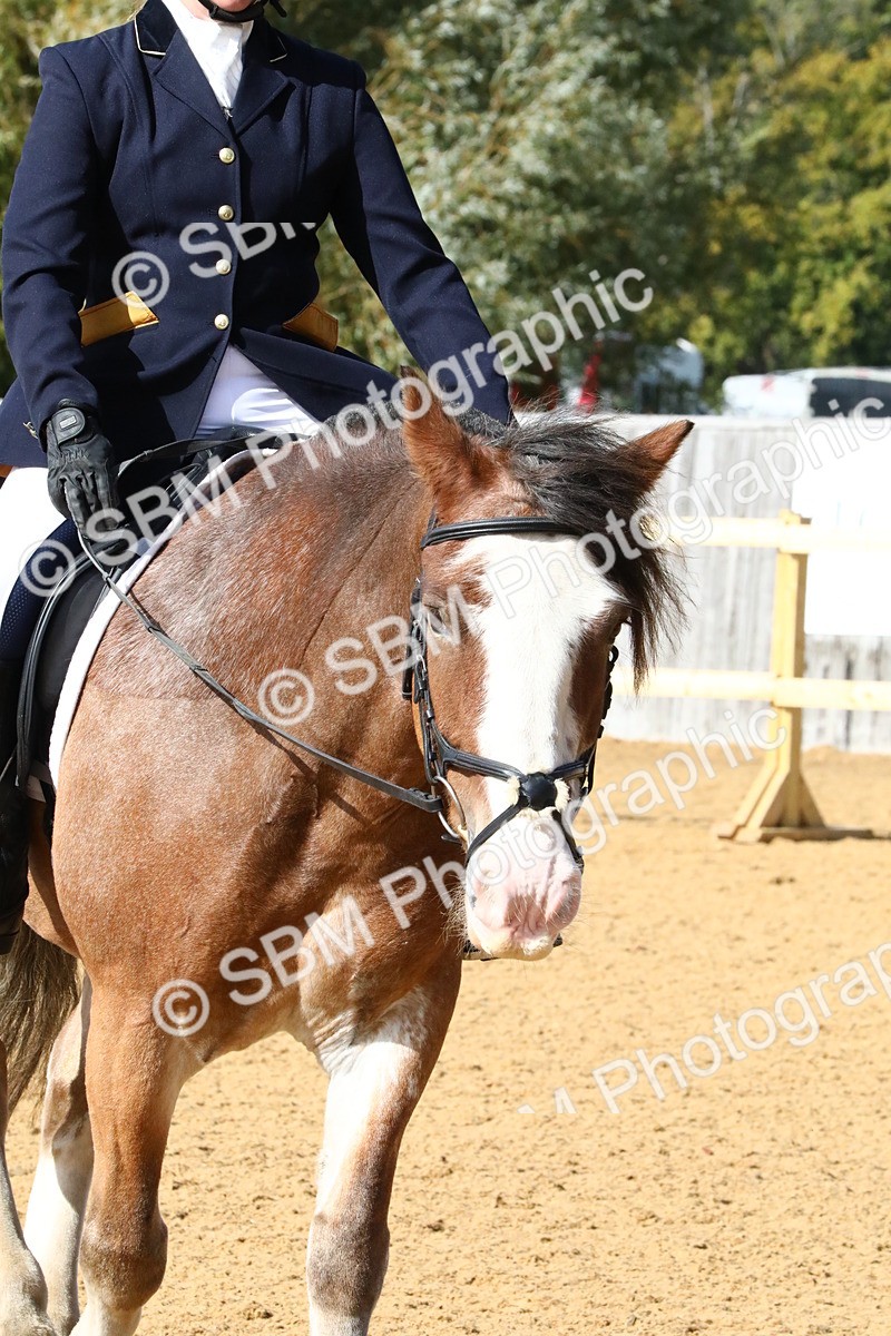 SBM_23608 - D5 - Small Tour Championshop Intro 2