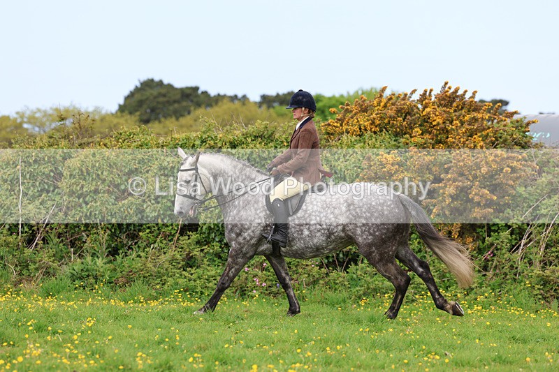 3E7A1282 - Class 7: Ridden Hunter Type