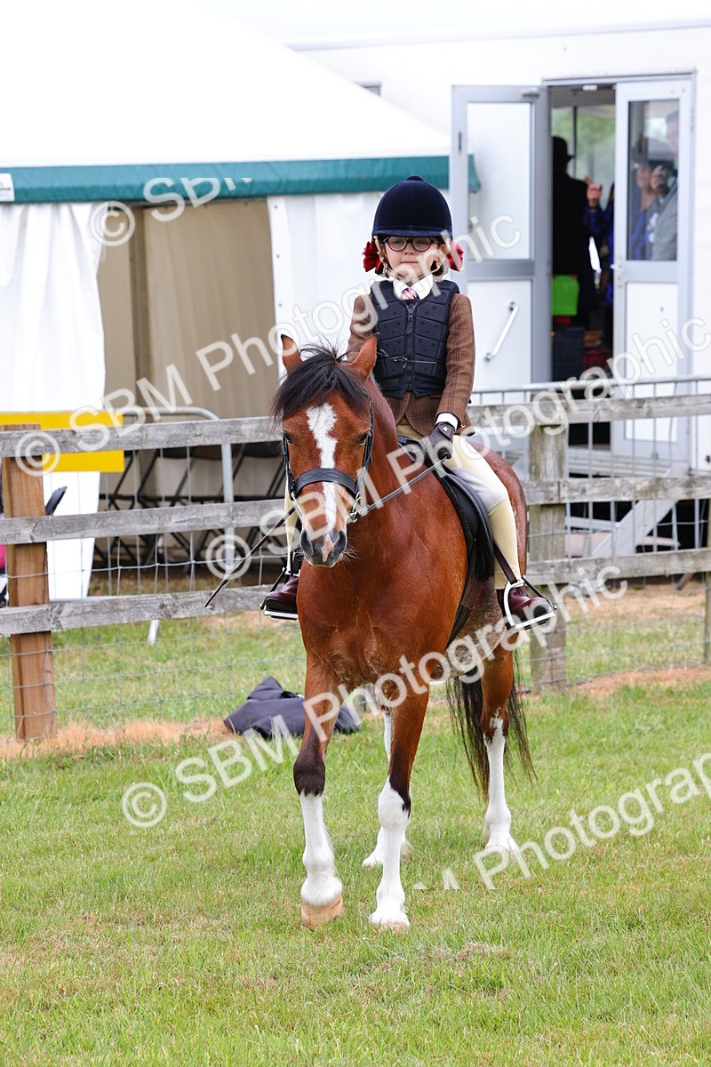 SBM_08817 - Class 42-43 - LIHS BSPS Heritage Working Sports Pony