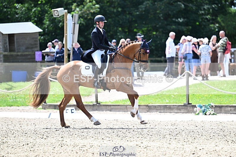 260529A-134217-10502 - G-773-Tommy.Greengard