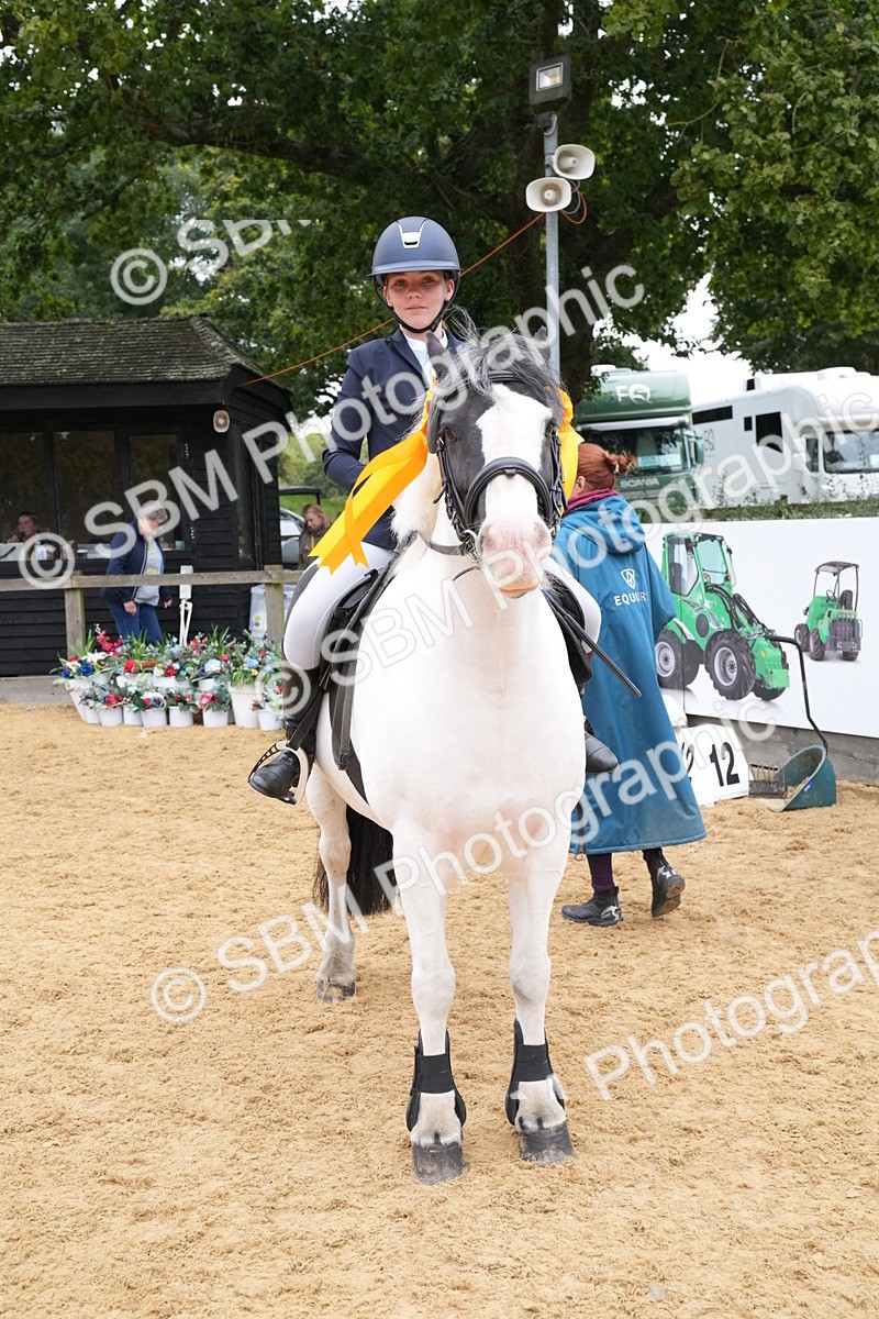 SBM_71801 - J3 - Mini Tour Junior Pony 40cm Championship