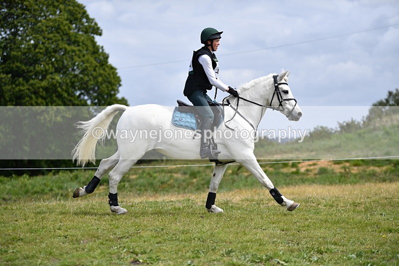 WJ5_7312 - Time 11:39 to 11:48