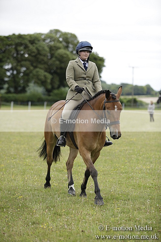 BVR160717-788 - Ring 1 BVRC Show 16/07/17