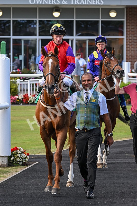 160824-Race 1-Thunder Wonder-8852 - Race 1