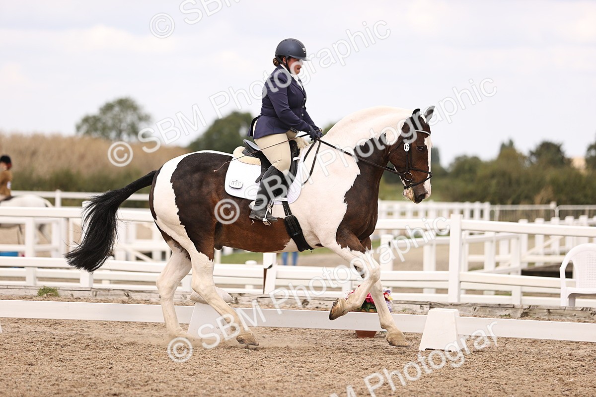 SBM_05860 - Class 37 Novice 5