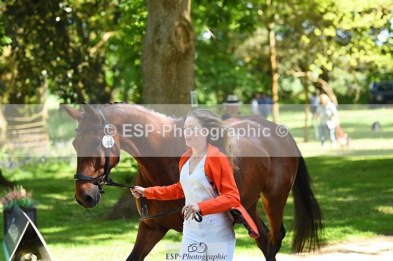 230524-150700-00071 - 306-JELSON-Lucy_Collecott-WEDTrotUp+DR