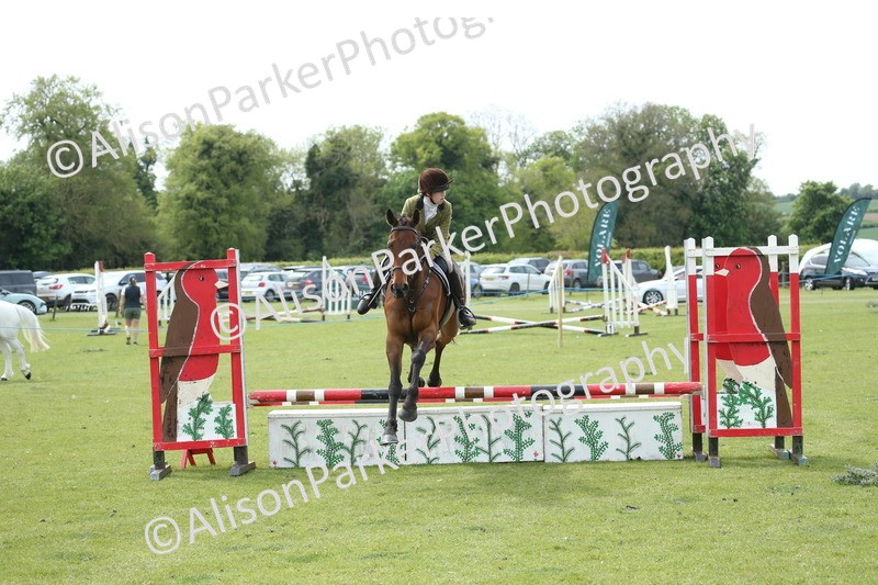 20260426-2084 - Class 15 - Absolute Novice 70cm
