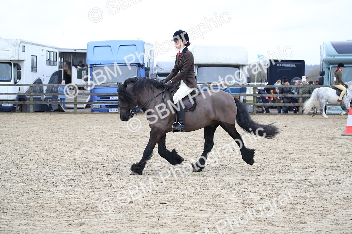 SBM_006370 - Class 10-13 - RIHS Small Large Breeds