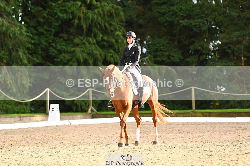 231021-161725-21074 - 265-EG.TIGER.CHILLI-Tayla.Mason-DR