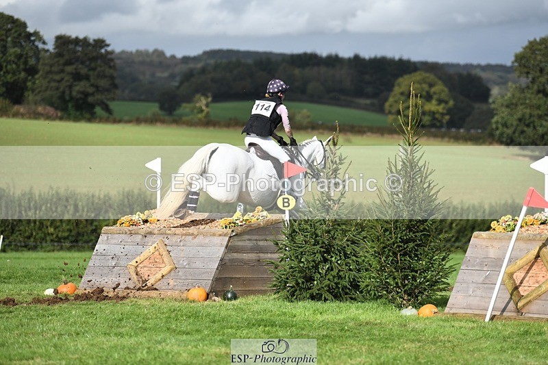 231020-140327-09651 - 114-LATINA'S.TWINKELING-Pippa.Haslam-XC