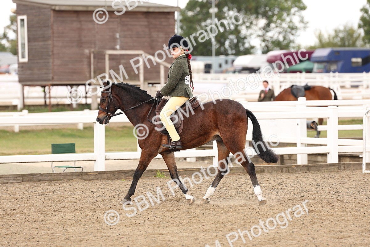 SBM_02894 - Class 53 - Ridden Competition Horse/Pony