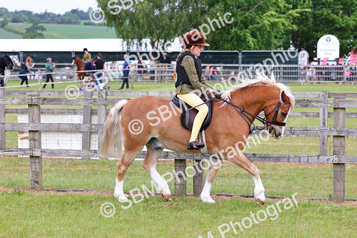 SBM_08541 - Class 42-43 - LIHS BSPS Heritage Working Sports Pony