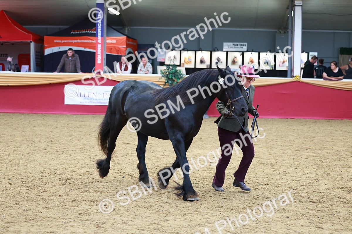SBM_04231 - Class 9R - IH Pre-Vet