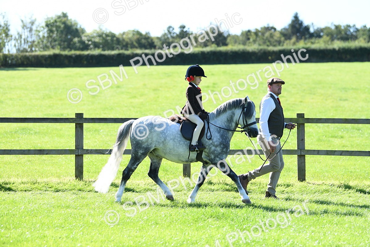 SBM_39515 - S18 - Novice & Newcomers Lead Rein Pony