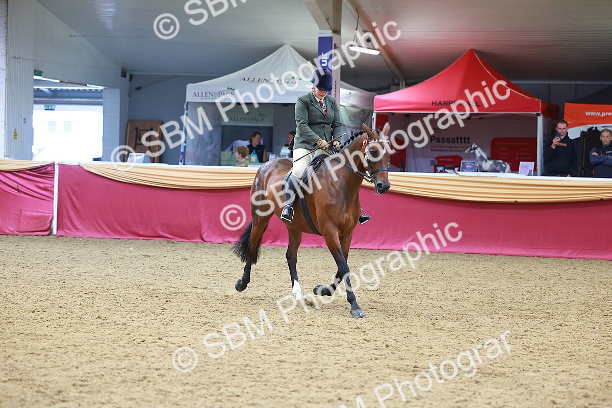 SBM_06103 - Class 12R - Ridden Pre-Vet