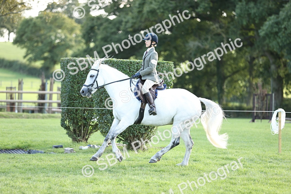 SBM_29571 - S7 - Novice & Newcomers Ridden Pony