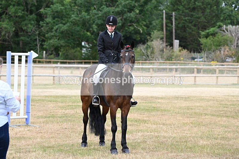 WJ6_3954 - Class 9 Tack & Turnout