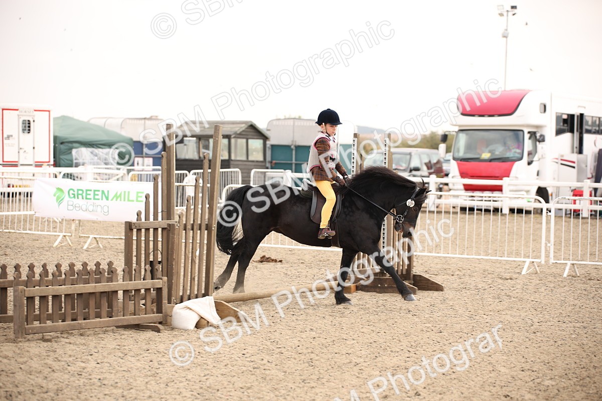 SBM_11720 - Class 404a Junior Working Veteran- 40cm (15-19)