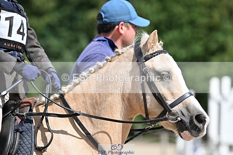 230824-140516-04096 - Round 1 Lead Rein 14.00 to End