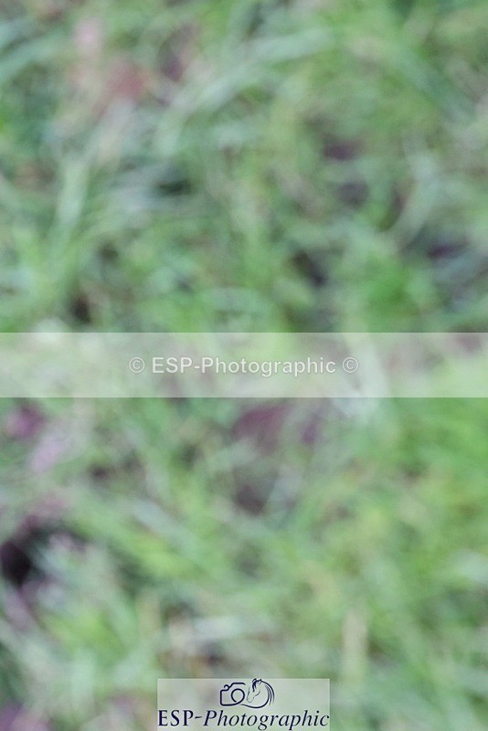 231022-162654-30484 - BE90 Presentations