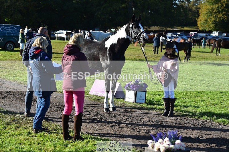 231022-104048-22660 - 438-KILCORBAN.MY.FAIR.LADY-Natasha.Crapper-TrotUp+SJ