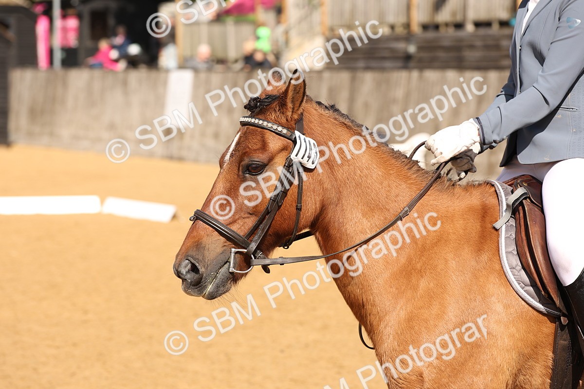 SBM_47418 - D12 - Small Tour Championship prelim 2