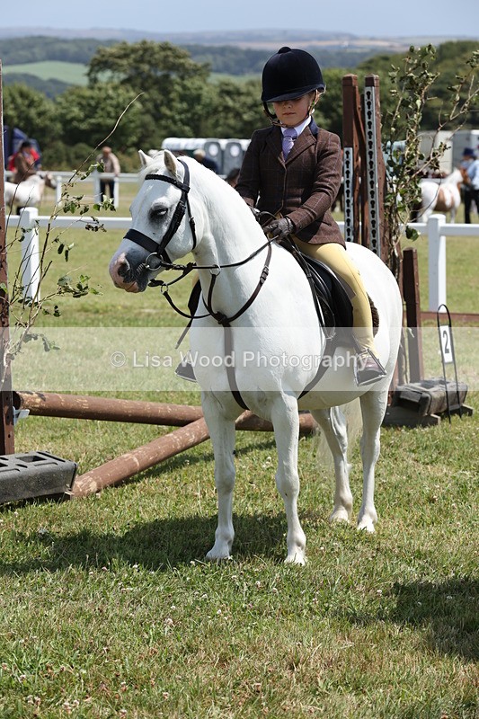 JPP_1853 - Class 18: Tiny Tots Working Hunter Pony