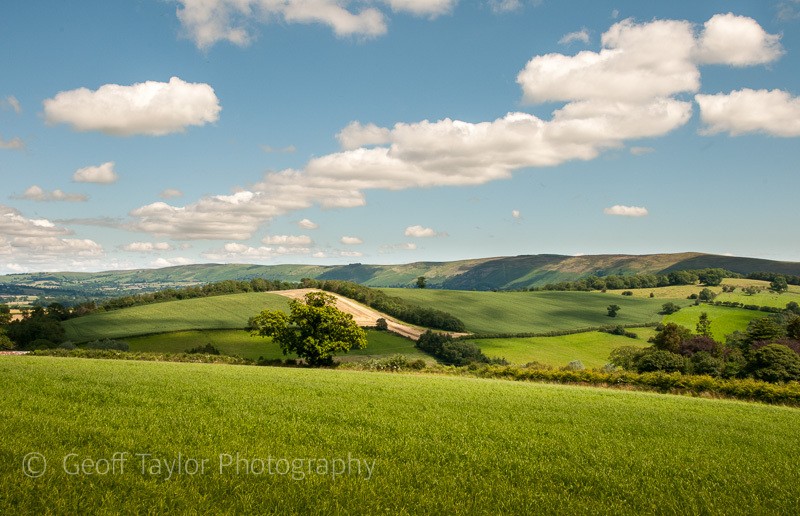 Totterton and Long Mynd from Oakeley Mynd - Clun Valley