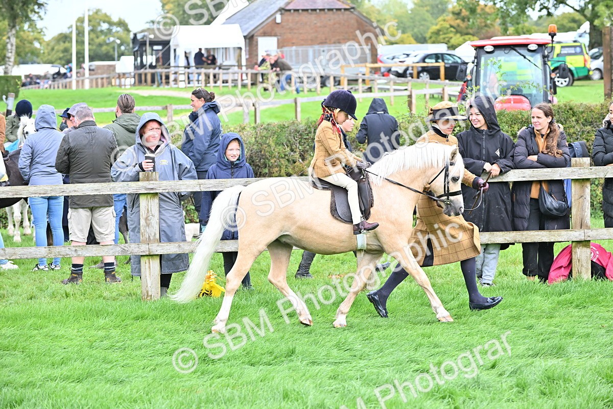 SBM_40141 - S20 - Lead Rein Mountain & Moorland Pony