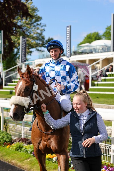 yr11052022r7-36 - Race 7 5.15pm British Stallion Studs EBF Novice Stakes