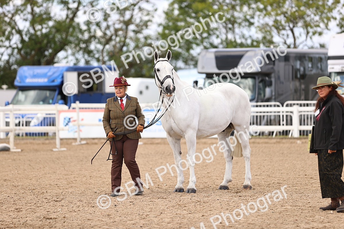 SBM_10383 - Class 405 - IH Show Cob