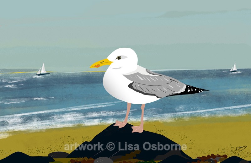 Gull on the beach - DIGITAL ARTWORK
