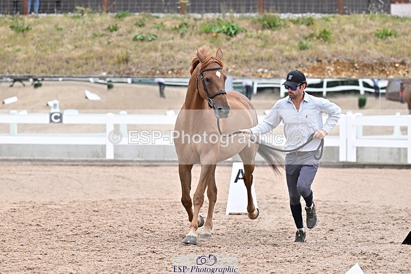 250716-134154-00639 - Trot Up 1.30 to 2.30