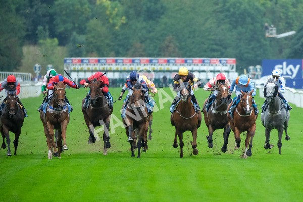 080925-Race 2-Alzahir-7770 - Race 2 3.00pm Sky Bet Super Sub Sprint Handicap