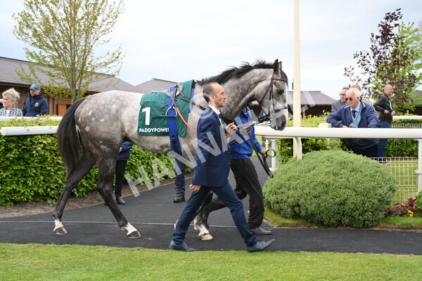 yr13052022r3-3 - Race 3 3.00pm Paddy Power 'I Love Steak' Stakes