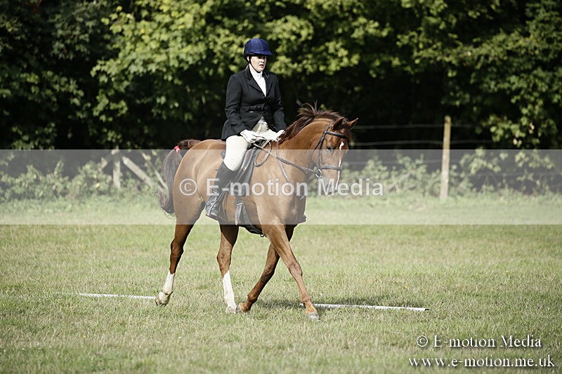 BVR090918 137 - BVRC Dressage and Show Jumping 09/09/18