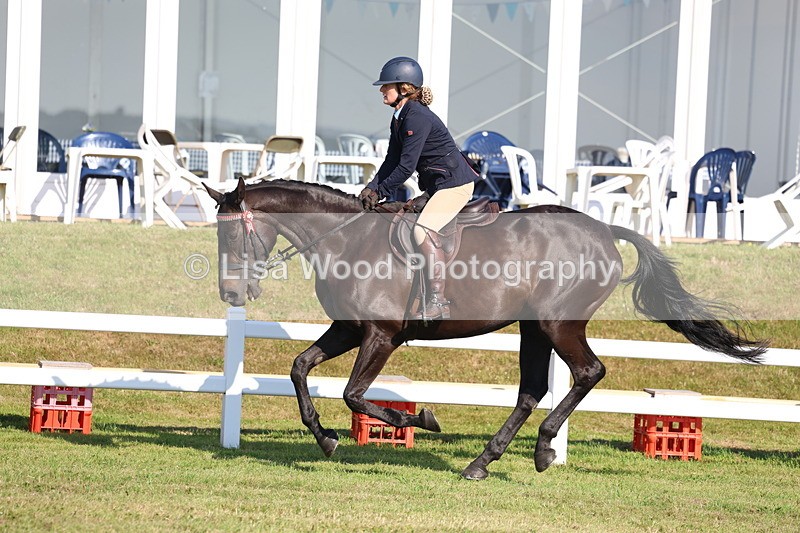 3E7A5626 - Class 2: Rising Star Large Hack/Riding Horse